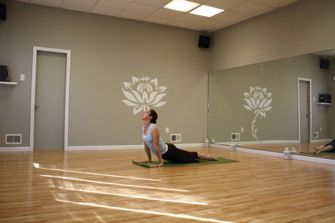 Visit Asana Yoga + Dance